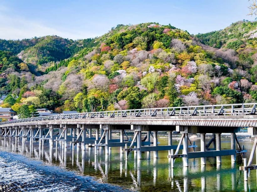 Kyoto/Osaka: Kinkakuji, Bamboo Forest, and Nara Deer Park - Nara Park Deer Time: Feeding Rules That Keep It Respectful