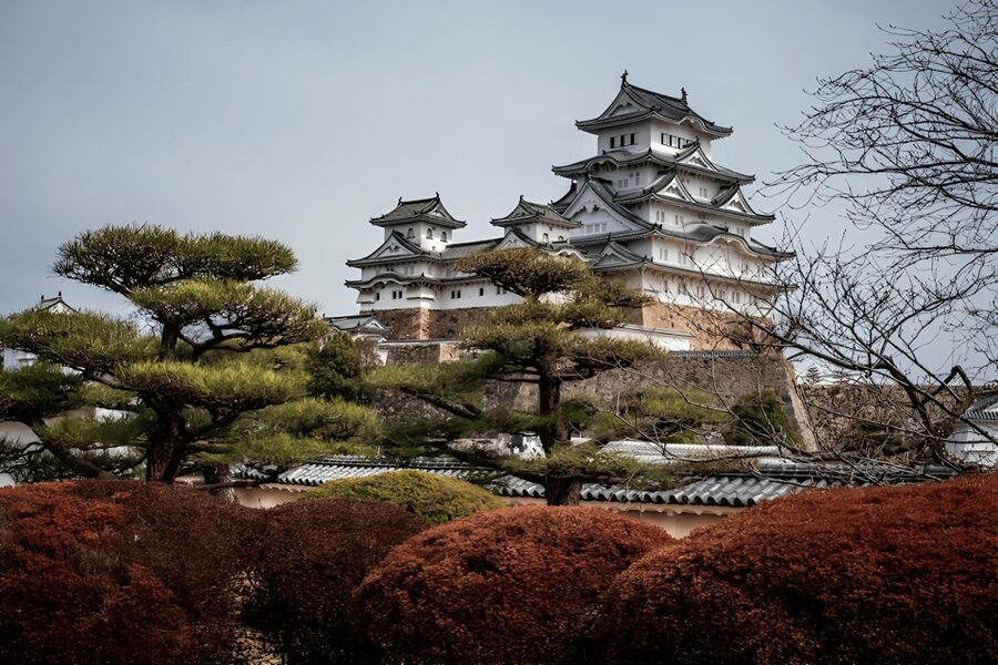 Kyoto/Osaka: Kobe & Himeji Journey Through Culture & History - Price and value for up to six people