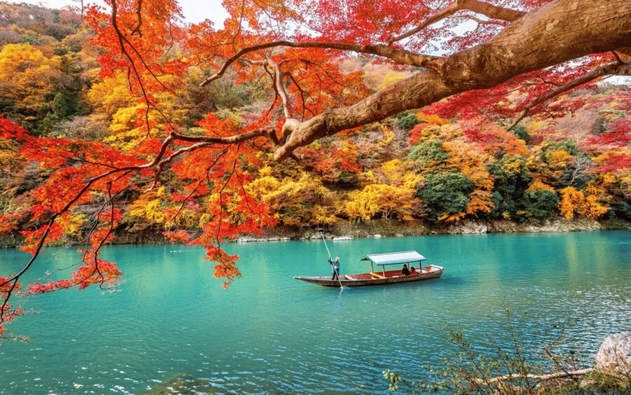 Kyoto/Osaka: Kyoto and Nara Customizable Guided Day Trip - Key highlights worth planning for
