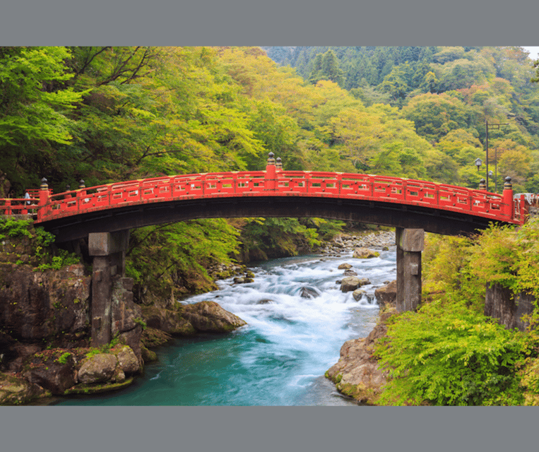 Kyoto/Osaka: Kyoto and Nara Customizable Guided Day Trip - If you pick Kyoto-only: temples, markets, and Gion at your speed