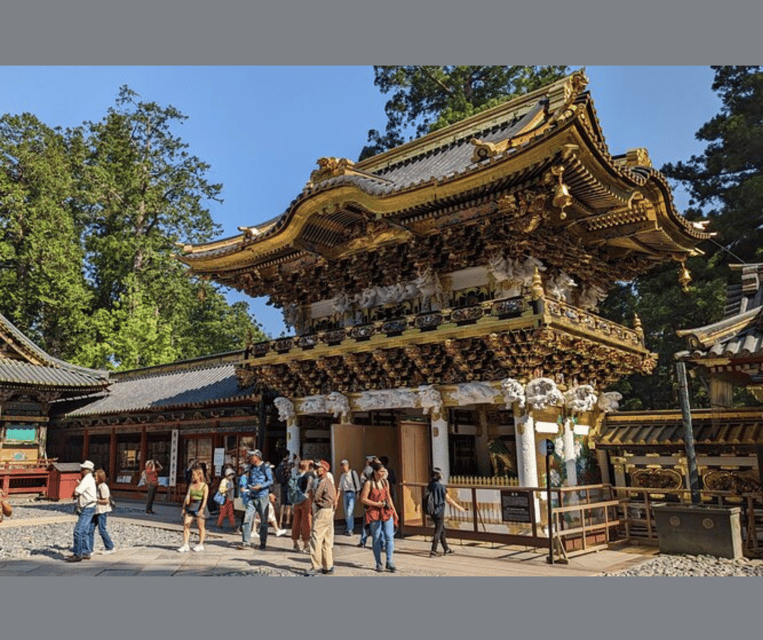 Kyoto/Osaka: Kyoto and Nara Customizable Guided Day Trip - Arashiyama bamboo grove: photo stop plus early light