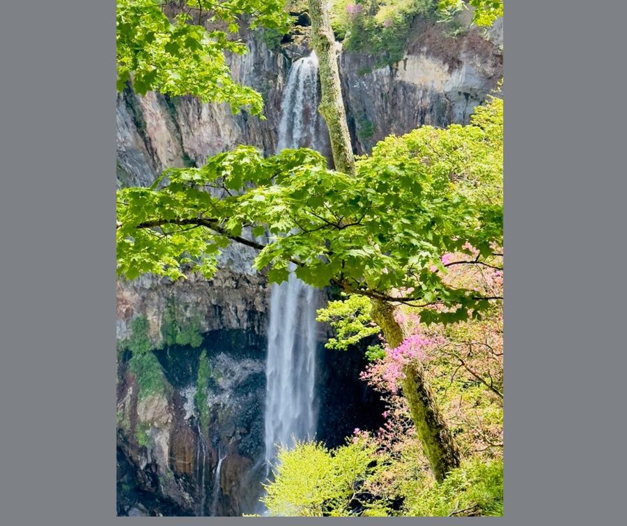 Kyoto/Osaka: Kyoto and Nara Customizable Guided Day Trip - Fushimi Inari Taisha: torii paths with guided direction