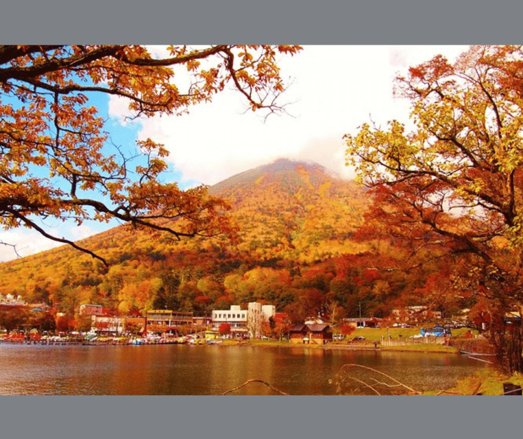 Kyoto/Osaka: Kyoto and Nara Customizable Guided Day Trip - Nara Park and deer time: messengers of the gods
