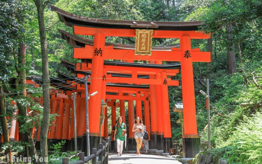 Kyoto/Osaka: Kyoto and Nara Customizable Guided Day Trip - Pricing that makes sense if you travel with 3 to 6 people
