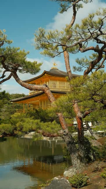 Kyoto/Osaka: Kyoto&Nara Customized Private Highlights Tour - Pickup, drop-off, and flexibility across cities