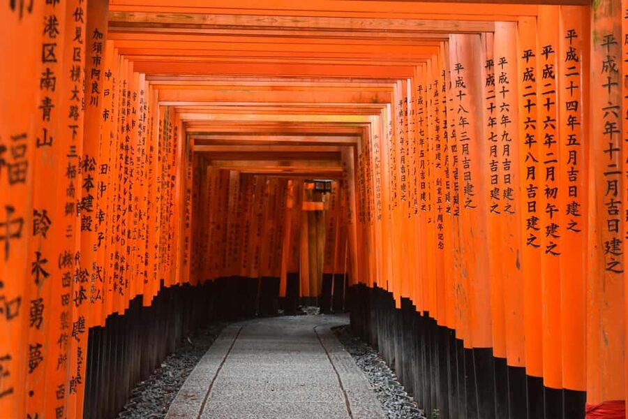 Kyoto/Osaka: Kyoto&Nara Customized Private Highlights Tour - Arashiyama Bamboo Grove: start with quiet greens, not train confusion