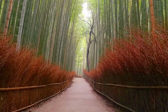 Kyoto, Osaka, Nara Full Day tour by Car English speaking Driver - Eikando Zenrinji and Yasaka Shrine: your calmer closing arc