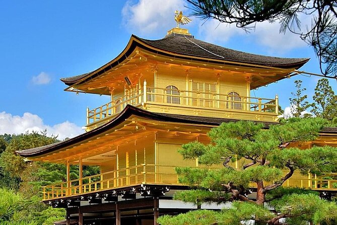 Kyoto, Osaka, Nara Private Tour by Car English Driver Guide - Osaka Route: Castle, Shitennoji, Dotonbori, and Daisen Park