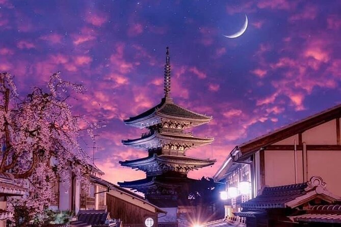 Kyoto, Osaka, Nara Private Tour by Car English Driver Guide - Driver Versus Tour Guide: How to Get the Experience You Think You Booked