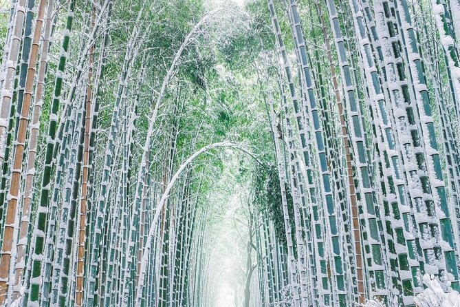 Kyoto, Osaka, Nara Private Tour by Car English Driver Guide - Timing, Crowds, and Weather Reality in One 10-Hour Day