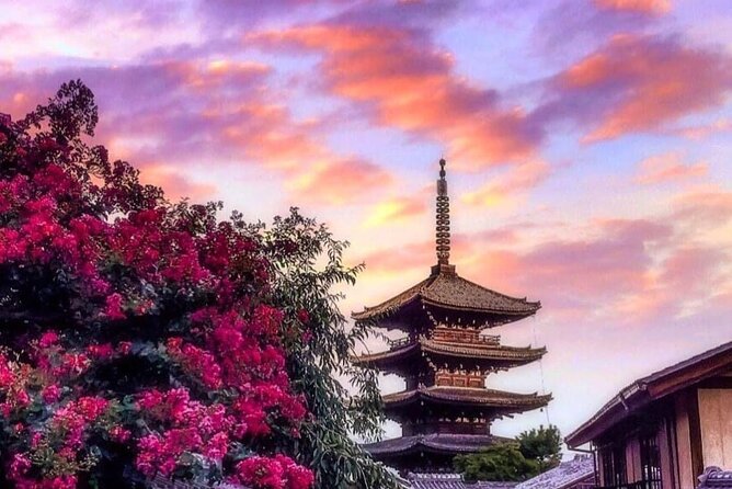 Kyoto, Osaka, Nara Private Tour by Car English Driver Guide - The Smart Strategy: One City Per Day