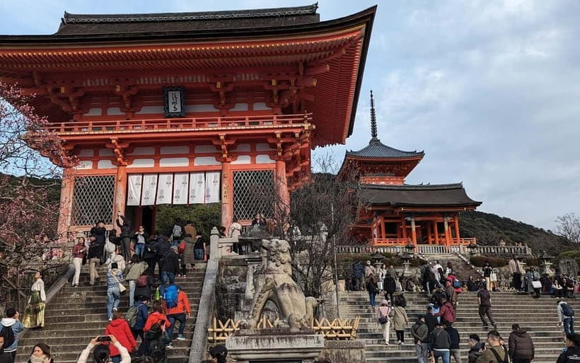 Kyoto: Personalize, private tour (3h, 5h, 8h) [W/Car Option] - How an unscripted private day in Kyoto actually works