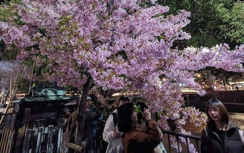 Kyoto: Personalize, private tour (3h, 5h, 8h) [W/Car Option] - Getting around with trains, footpaths, and the car option