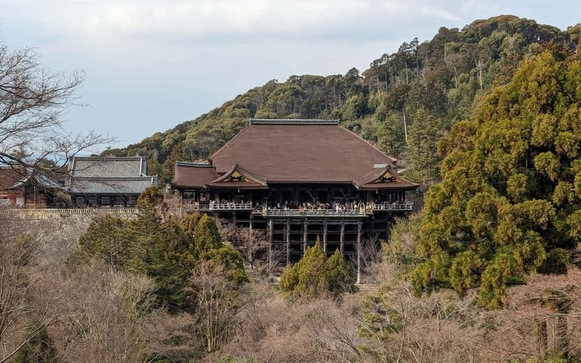 Kyoto: Personalize, private tour (3h, 5h, 8h) [W/Car Option] - Food, photos, and the kind of local help that actually matters