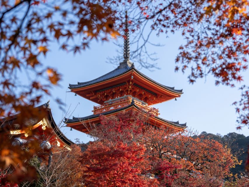 Kyoto: Personalized Guided Private Tour - Key Highlights You’ll Feel in Kyoto