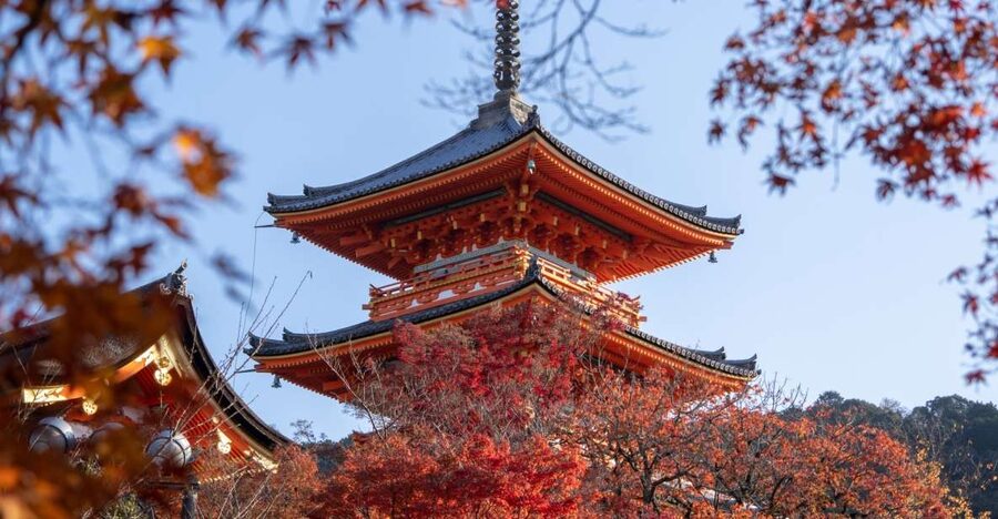 Kyoto: Personalized Guided Private Tour - Fushimi Inari: Red Torii Gates and the Right Kind of Pace