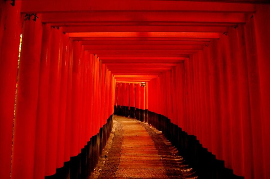 Kyoto: Personalized Guided Private Tour - Getting Around: Public Transit, Stairs, and Rain-Smart Tips