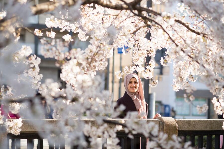 Kyoto: Photo Shoot with a Private Vacation Photographer - The 1 to 3 hour session: what happens when you meet the photographer