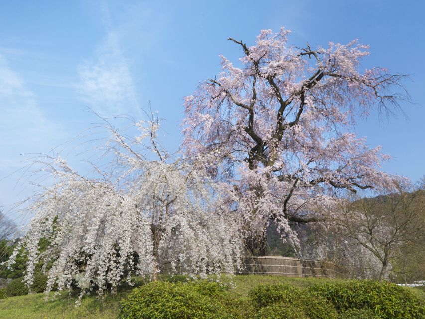 Kyoto: Private 2.5 Hour Historical Walking Tour - Kiyomizu-dera: Kannon, the nail-less stage, and Pure Water