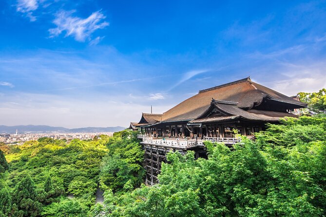 Kyoto Private 6 hour Tour: English Speaking Driver Only, No Guide - Stop 5: Fushimi Inari-taisha and the torii trail effect