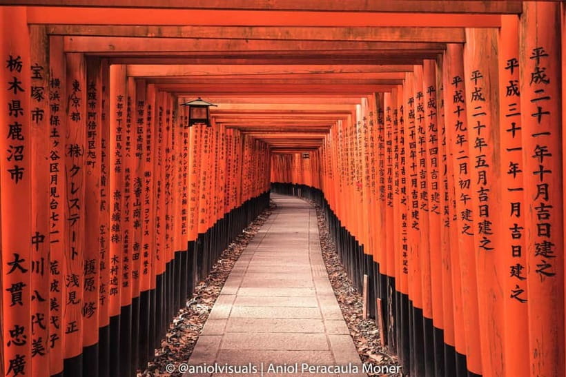 Kyoto: Private Customizable Day Tour with Guide and Vehicle - Key things I’d plan around