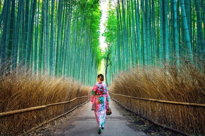 Kyoto: Private Customizable Day Tour with Guide and Vehicle - Arashiyama, Bamboo time, and getting the mood right