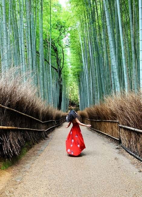 Kyoto: Private Customizable Day Tour with Guide and Vehicle - Customizing your day when your group has different needs
