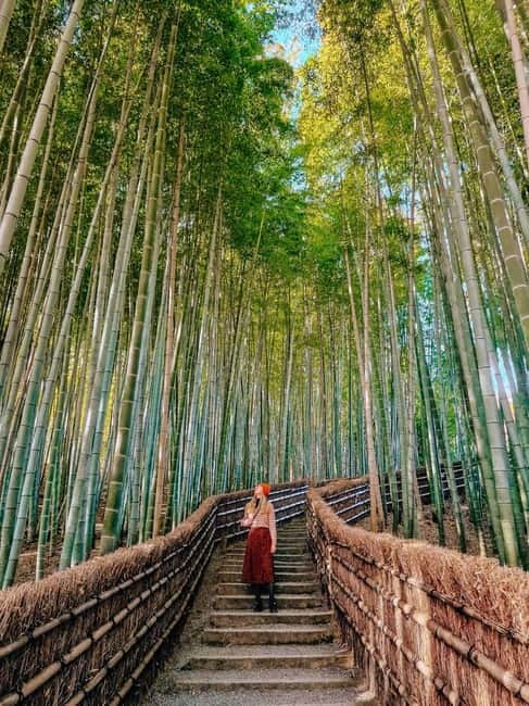 Kyoto: Private Customizable Day Tour with Guide and Vehicle - Value check: what you get for $382, and what to budget