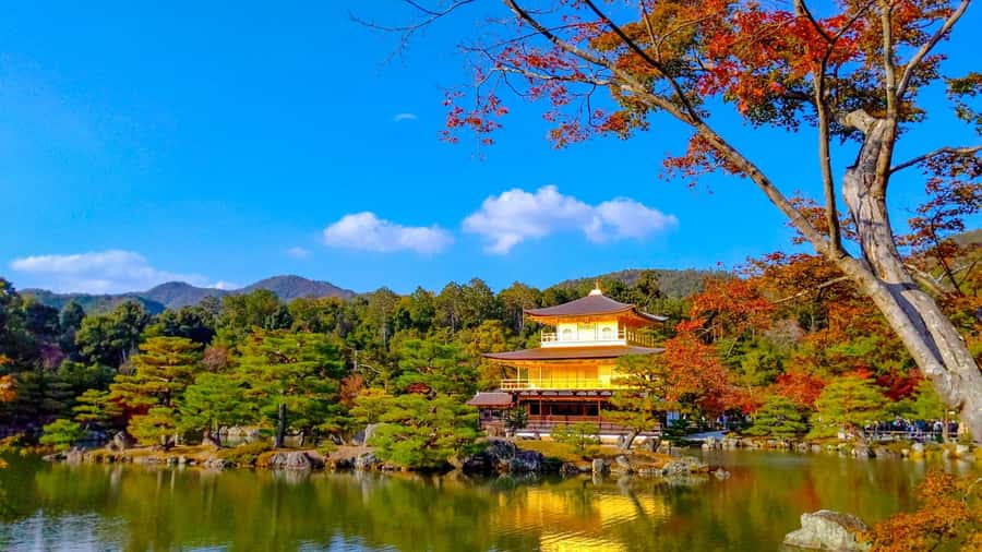 Kyoto: Private Customizable Day Trip by Car - Picking up in Kyoto or Osaka, and staying on track