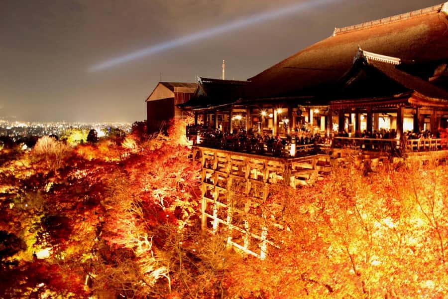 Kyoto: Private Customizable Day Trip by Car - Fushimi Inari-taisha: shrine walking for 1.5 hours