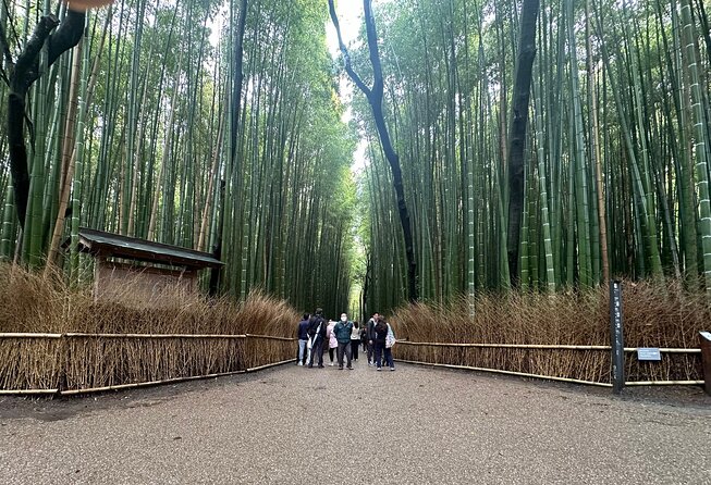 Kyoto Private Customizable Day Trip With English chauffeur - Quick takeaways before you go