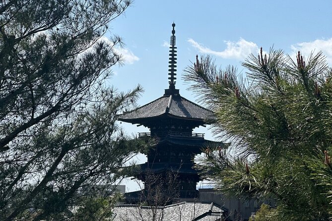 Kyoto Private Customizable Day Trip With English chauffeur - Value check: what you really get for $431.20 per group