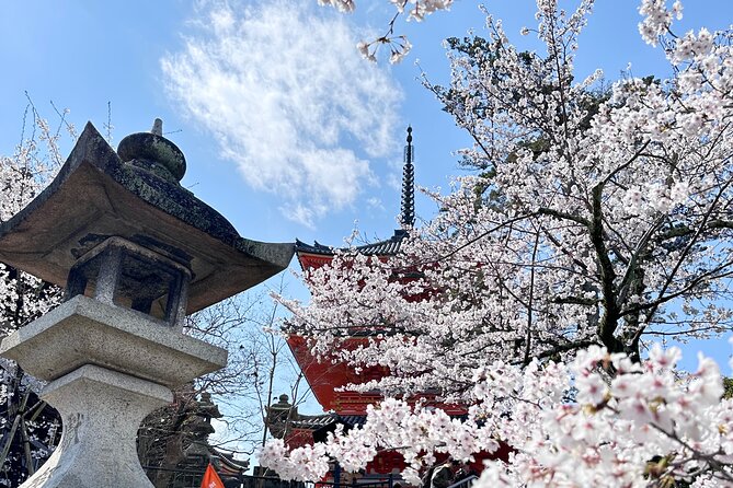 Kyoto Private Customizable Day Trip With English chauffeur - Kyoto Imperial Palace plus Nishiki Market: the easy break in the middle