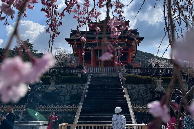 Kyoto Private Customizable Day Trip With English chauffeur - Fushimi Inari Taisha: torii gates, uphill walking, and free time