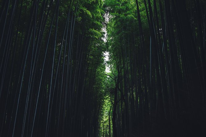 Kyoto Private Customizable Full Day Tour - A Custom Kyoto Day: Choosing 4 to 5 Stops That Actually Fit