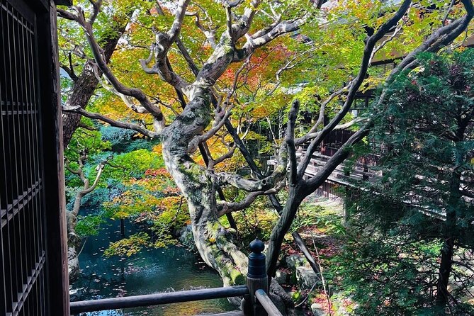 Kyoto Private & Customizable Tour with English-Speaking Driver - Worth the Money: Price, Group Size, and When It Makes Sense