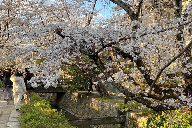 Kyoto Private & Customizable Tour with English-Speaking Driver - Sannenzaka and Ninenzaka: Walking the Old Streets Toward Kiyomizu-dera