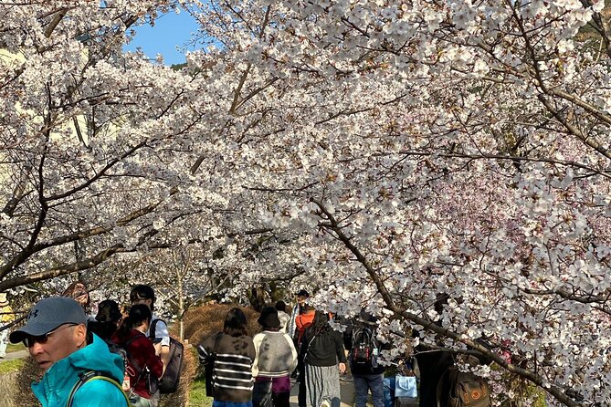 Kyoto Private & Customizable Tour with English-Speaking Driver - Kiyomizu-dera: The Stage View, the Waterfall Spot, and the Big-Time Temple Feel