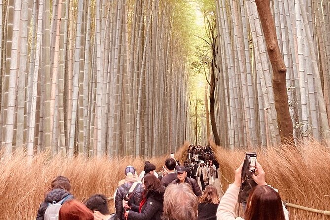 Kyoto Private & Customizable Tour with English-Speaking Driver - Arashiyama Bamboo: A Calm Start Before the Day Gets Busy