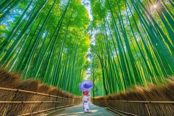 Kyoto Private Customized Day Tour with Guide - Key Points I’d Write on a Sticky Note
