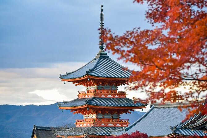 Kyoto Private Customized Day Tour with Guide - Why This Private Kyoto Day Feels Different Than DIY