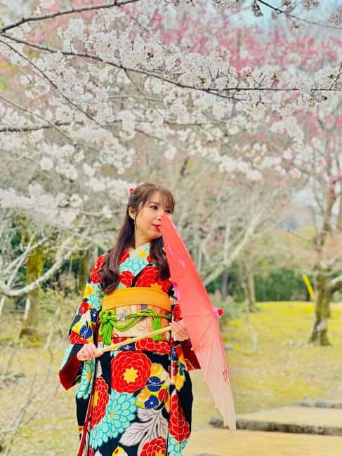 Kyoto: Private Customized Tour With English Speaking Guide - Kiyomizu-dera and the viewpoint sequence you’ll remember