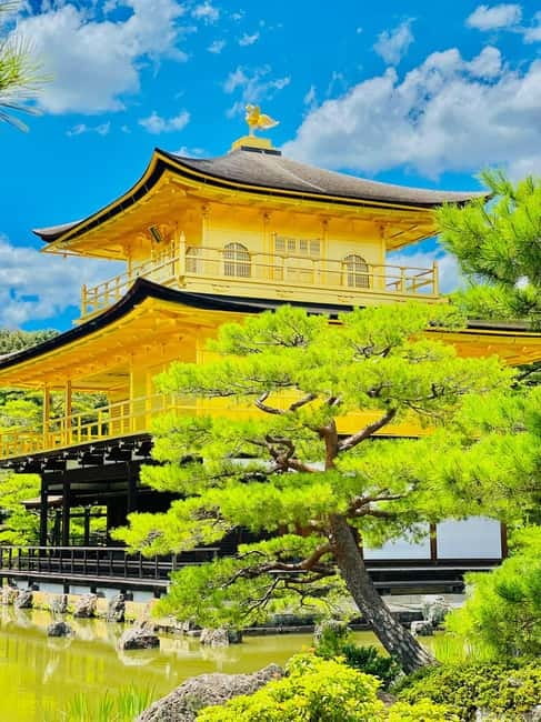 Kyoto: Private Customized Tour With English Speaking Guide - Your private vehicle and English guide: where the real value hides