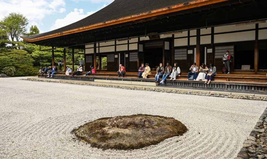 Kyoto: Private Customized Walking Tour with a Local Insider - Food, Shops, and What Your Guide Can Do After the Tour