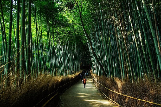 Kyoto: Private Flexible 3 hours tour with a local guide - Gion: a calm, classic district for pictures and etiquette
