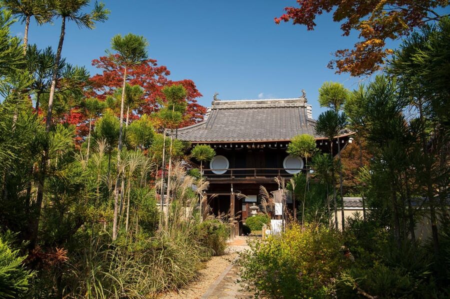 Kyoto: Private Full-Day Customizable World Heritage Tour - If You Need Ideas: Nijo Castle, Philosopher’s Path, Toji
