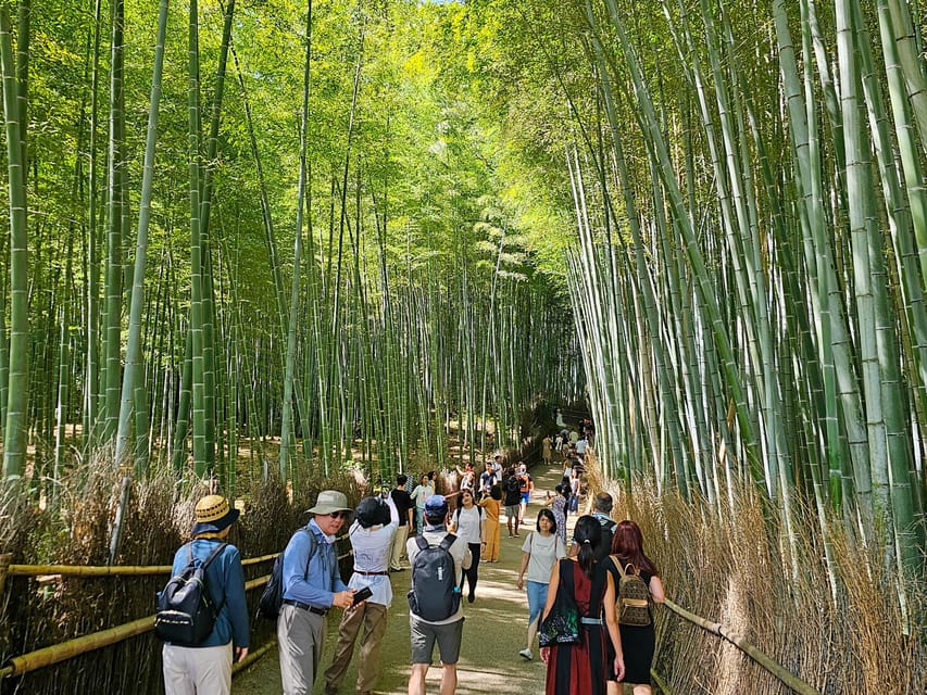 Kyoto: Private Full-Day Customizable World Heritage Tour - How the Guide Shapes Your Route (So Distances Do Not Betray You)