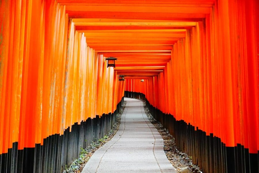 Kyoto: Private Full-Day Tour by Car - Kyoto by Private Car: Why This Style of Day Works