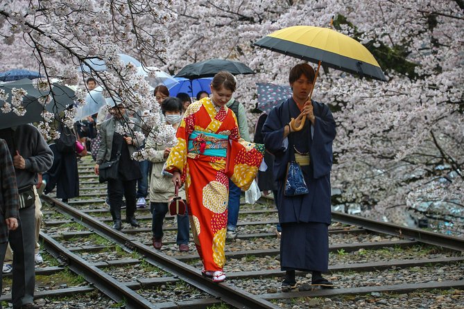 Kyoto Private & Personalized Half-Day Walking Tour with a Local - Stop 2: The Traditional Entertainment District and Tatsumi Bridge Views
