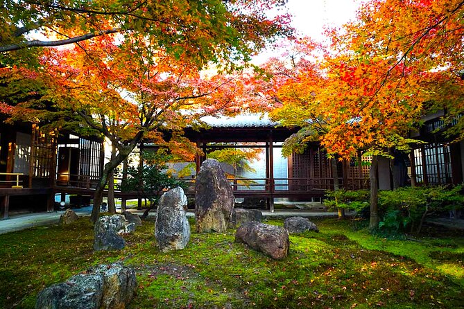 Kyoto Private Tour: One Day Highlights and Cultural Gems - A Practical Note on Lunch and Food Choices